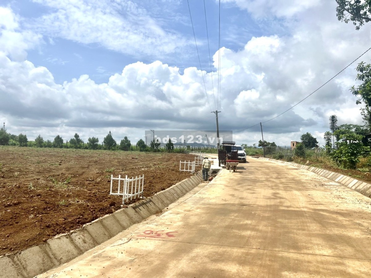 BÁN LÔ ĐẤT THỔ CƯ MẶT TIỀN ĐƯỜNG TÔN THẤT THUYẾT, LỘC TÂN BẢO LỘC GIÁ CHỈ 950 TRIỆU