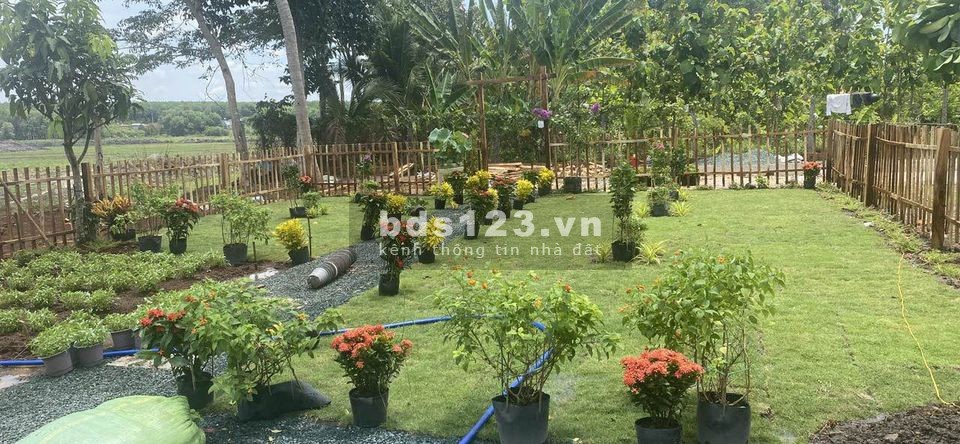 Đất nền ở Xã Tân Quan huyện Hớn Quản tỉnh Bình Phước