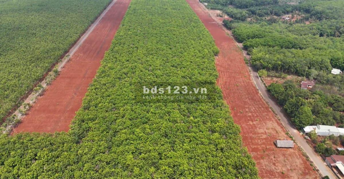 Bán đất thổ cư xã Phước An, Hớn Quản, Bình Phước