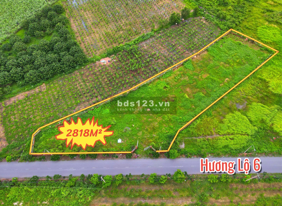 2818m2 mặt tiền Hương Lộ 6, có thể làm nhà vườn, phân lô, xây dựng xưởng cho thuê tạo dòng tiền kép
