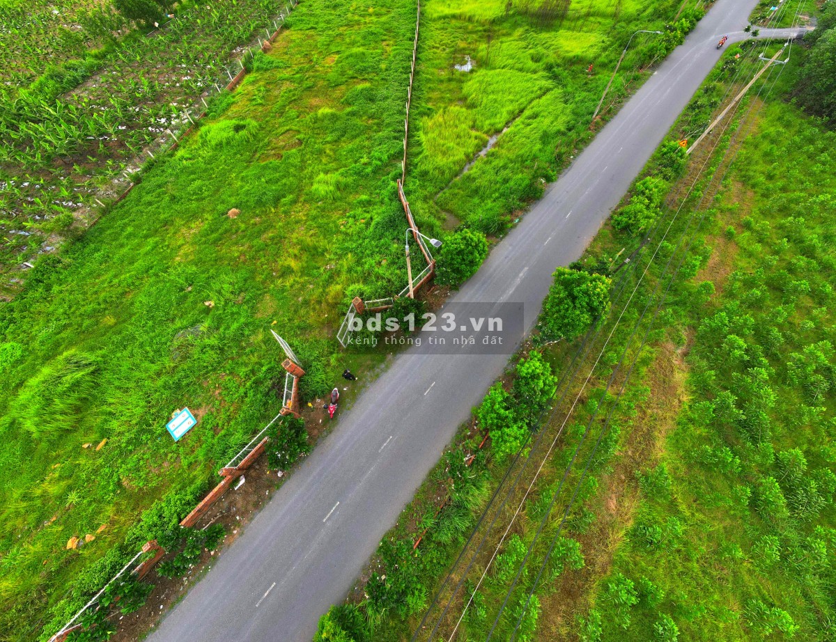 2818m2 mặt tiền Hương Lộ 6, có thể làm nhà vườn, phân lô, xây dựng xưởng cho thuê tạo dòng tiền kép