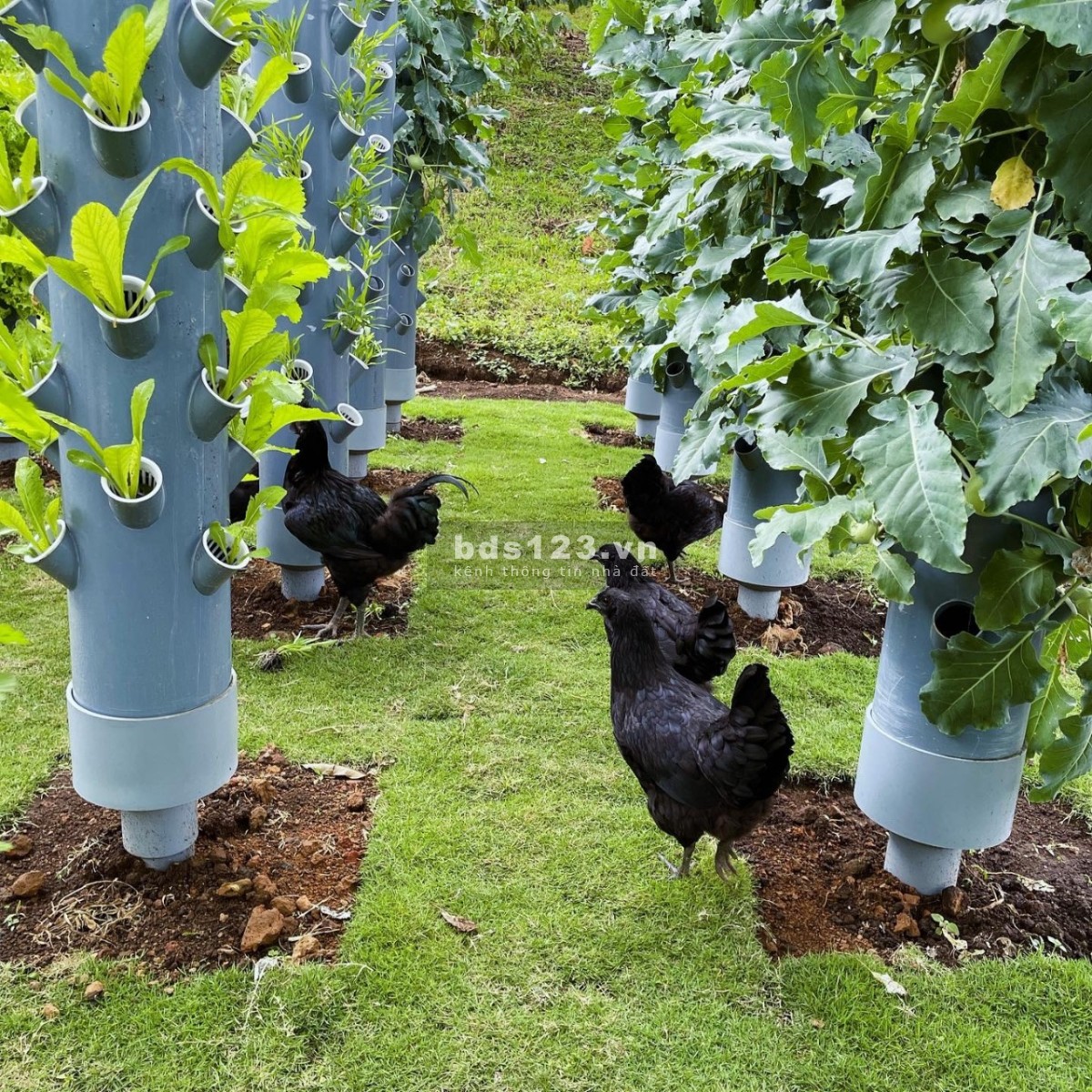 Bán đất Làng Oa 1000m2 - nơi hội tụ những người yêu thiên nhiên có view hồ, suối, săn mây