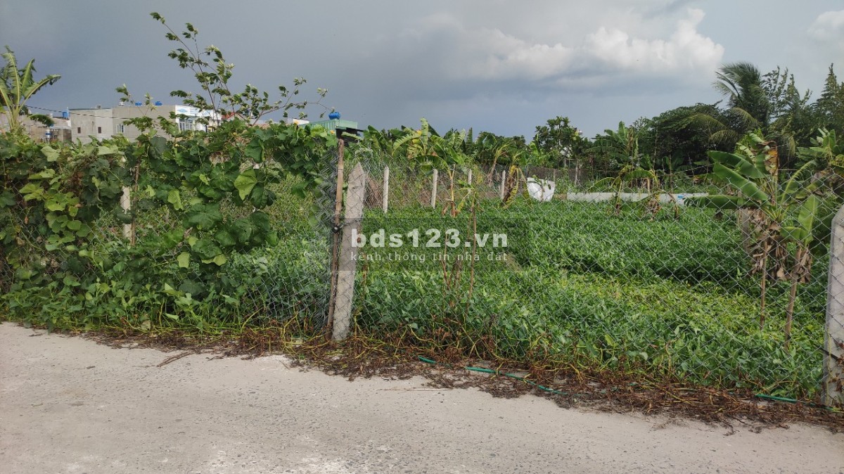 Khu Dân Cư ô tô thông, 8x25m tiện xây Nhà Vườn. 1,25 tỷ