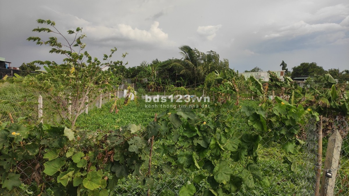 Khu Dân Cư ô tô thông, 8x25m tiện xây Nhà Vườn. 1,25 tỷ