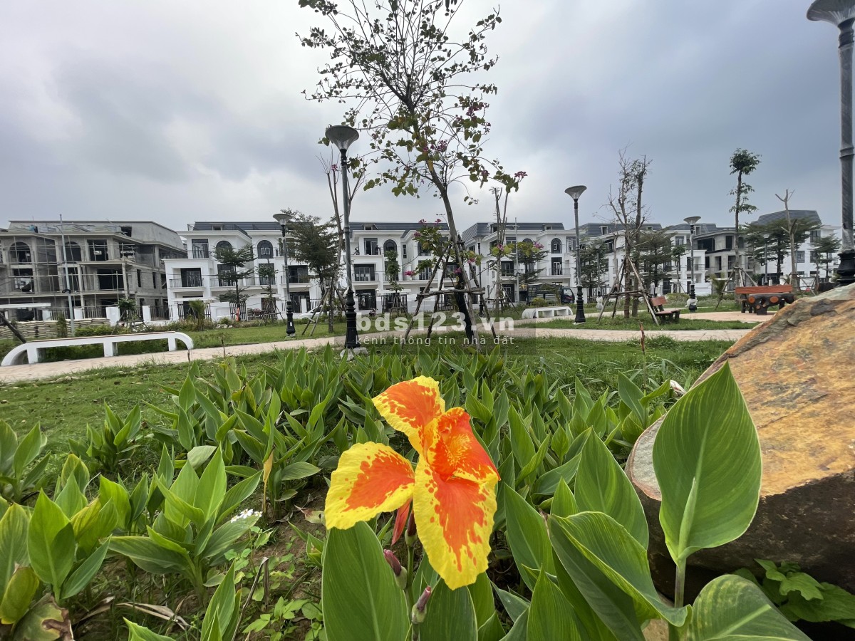 HUD MÊ LINH CENTRAL ĐƯA BẠN "MOVE ON" KHỎI CUỘC SỐNG ỒN ÀO, MÔI TRƯỜNG Ô NHIỄM ĐẦY BỤI MỊN