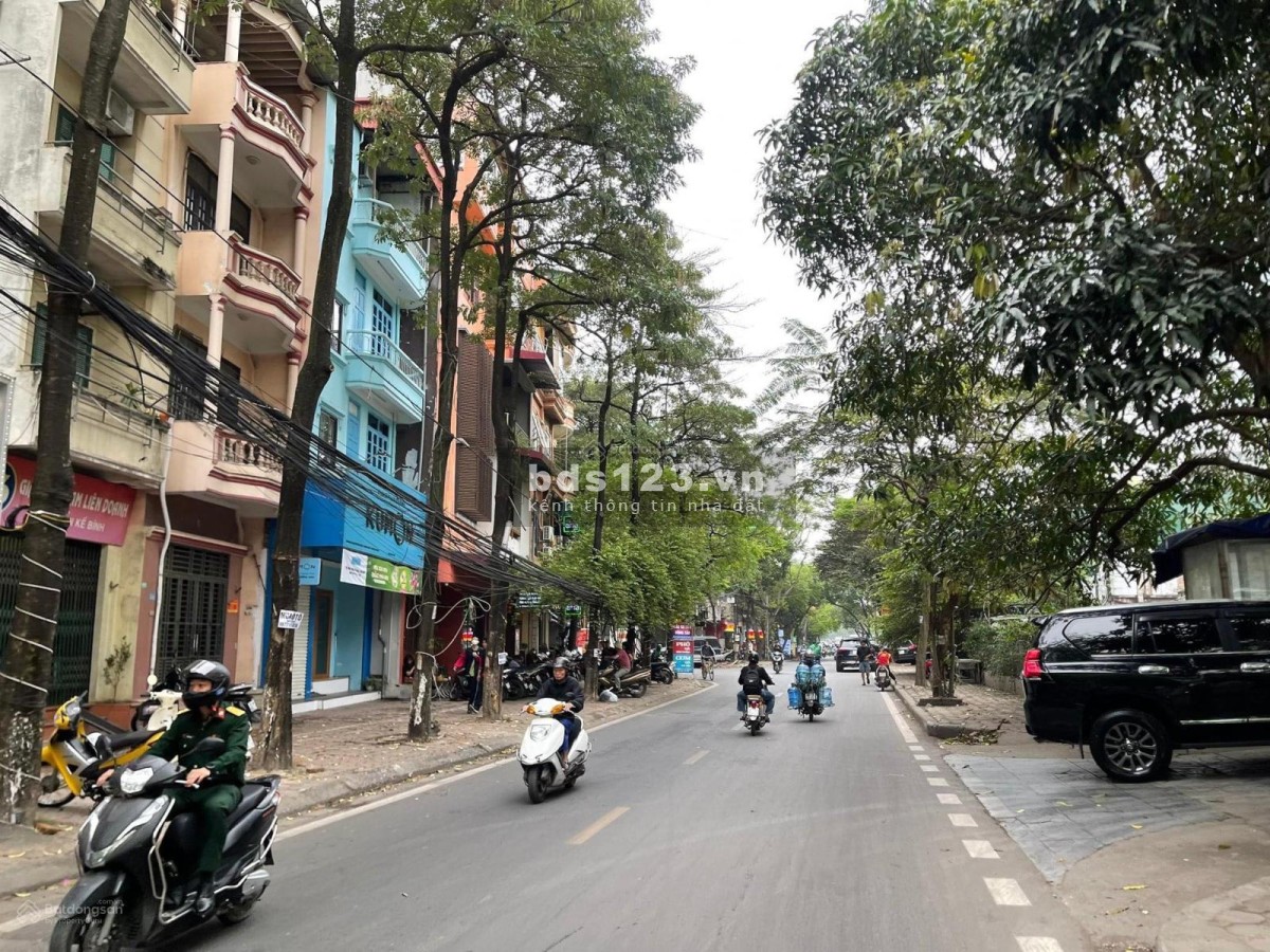 Nhà đẹp phân lô phố VIP Phan Kế Bính - Hai mặt ngõ - Khu dân trí cao, 50m2, 4 tầng,15 tỷ