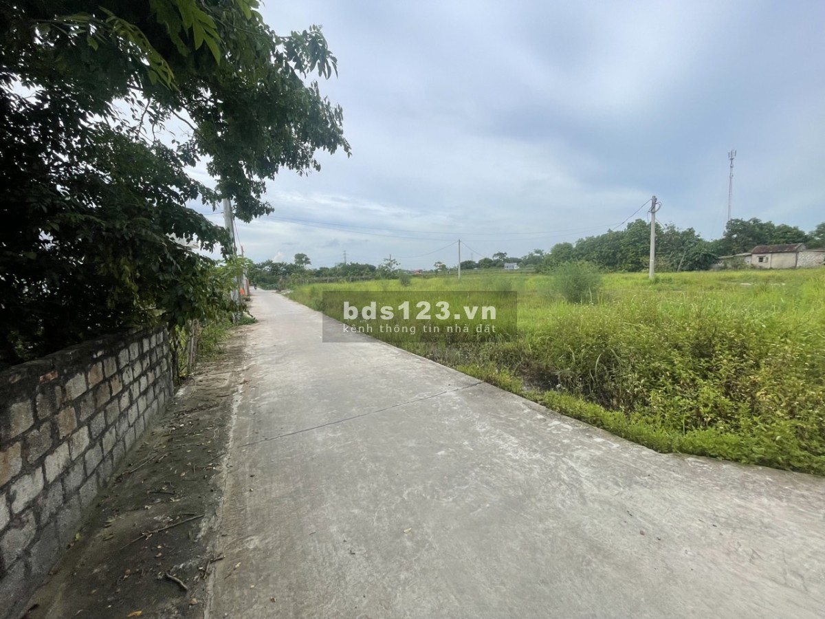 Đất chính chủ cần bán gấp giá rất rẻ ạ !!