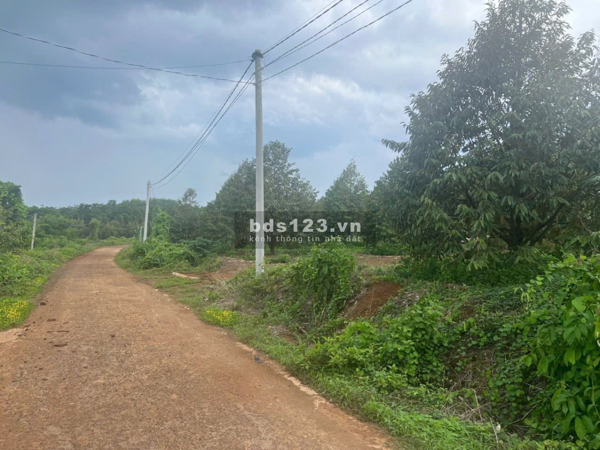 Cần bán đất gấp khu vực Đồng Phú diện tích 1000m2 giá chỉ 3xxtr