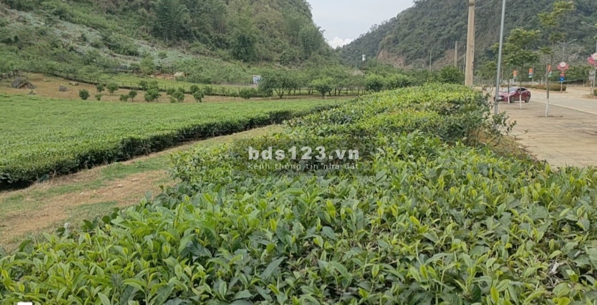 Bán 3300 m² Đất Đường Đôi Vân Hồ, Mộc Châu - Vị Trí Đắc Địa, Tiềm Năng Phát Triển Du Lịch