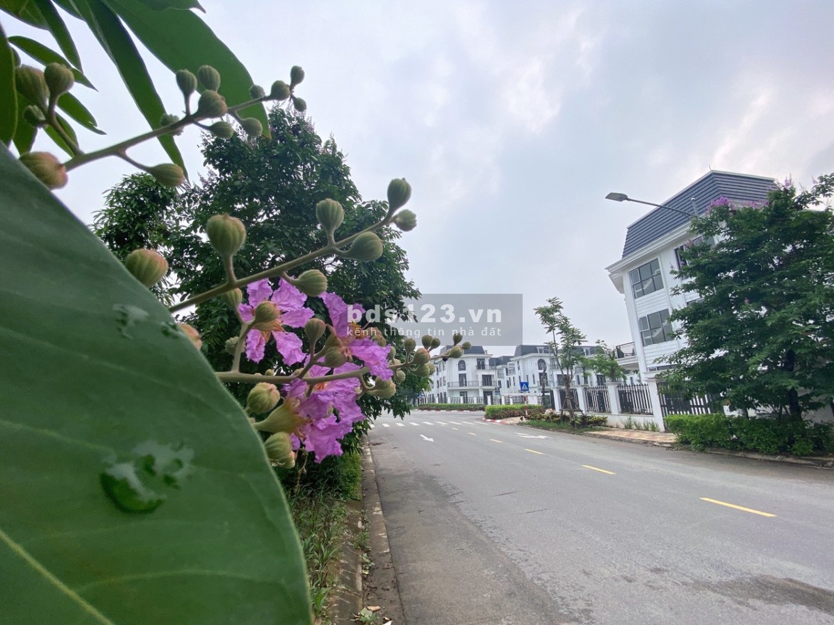 Duy nhất một căn biệt thự 375m2 tại HUD Mê Linh, gần công viên, view đẹp, giá chỉ 45.6tr/m2