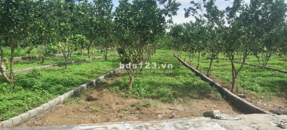 CHỈ 195 TRIỆU SỞ HỮU LÔ ĐẤT THỔ CƯ TẠI KHU CÔNG NGHIỆP BẢO HIỆU - YÊN THỦY - HÒA BÌNH