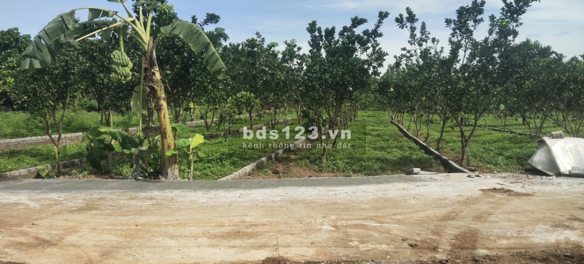 CHỈ 195 TRIỆU SỞ HỮU LÔ ĐẤT THỔ CƯ TẠI KHU CÔNG NGHIỆP BẢO HIỆU - YÊN THỦY - HÒA BÌNH