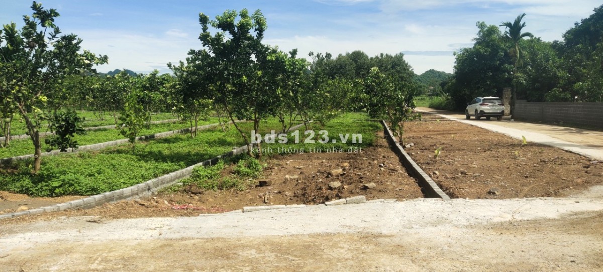 CHỈ 195 TRIỆU SỞ HỮU LÔ ĐẤT THỔ CƯ TẠI KHU CÔNG NGHIỆP BẢO HIỆU - YÊN THỦY - HÒA BÌNH