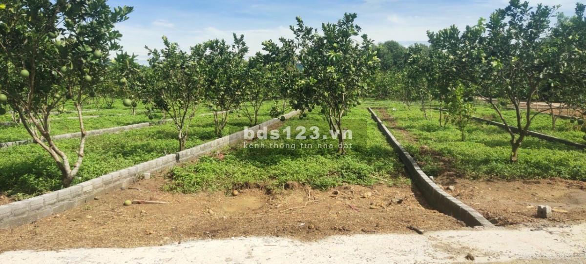 CHỈ 195 TRIỆU SỞ HỮU LÔ ĐẤT THỔ CƯ TẠI KHU CÔNG NGHIỆP BẢO HIỆU - YÊN THỦY - HÒA BÌNH