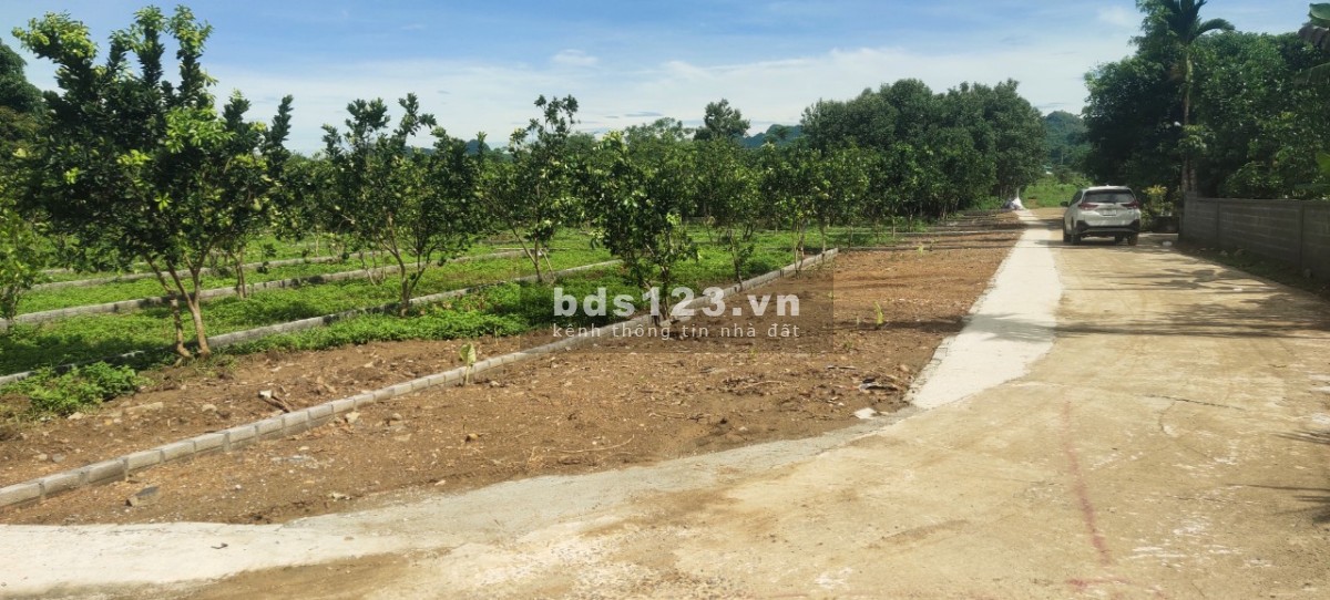 CHỈ 195 TRIỆU SỞ HỮU LÔ ĐẤT THỔ CƯ TẠI KHU CÔNG NGHIỆP BẢO HIỆU - YÊN THỦY - HÒA BÌNH
