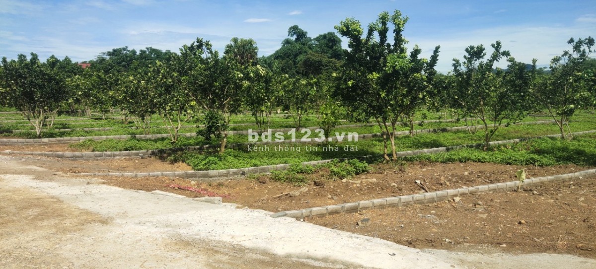 CHỈ 195 TRIỆU SỞ HỮU LÔ ĐẤT THỔ CƯ TẠI KHU CÔNG NGHIỆP BẢO HIỆU - YÊN THỦY - HÒA BÌNH