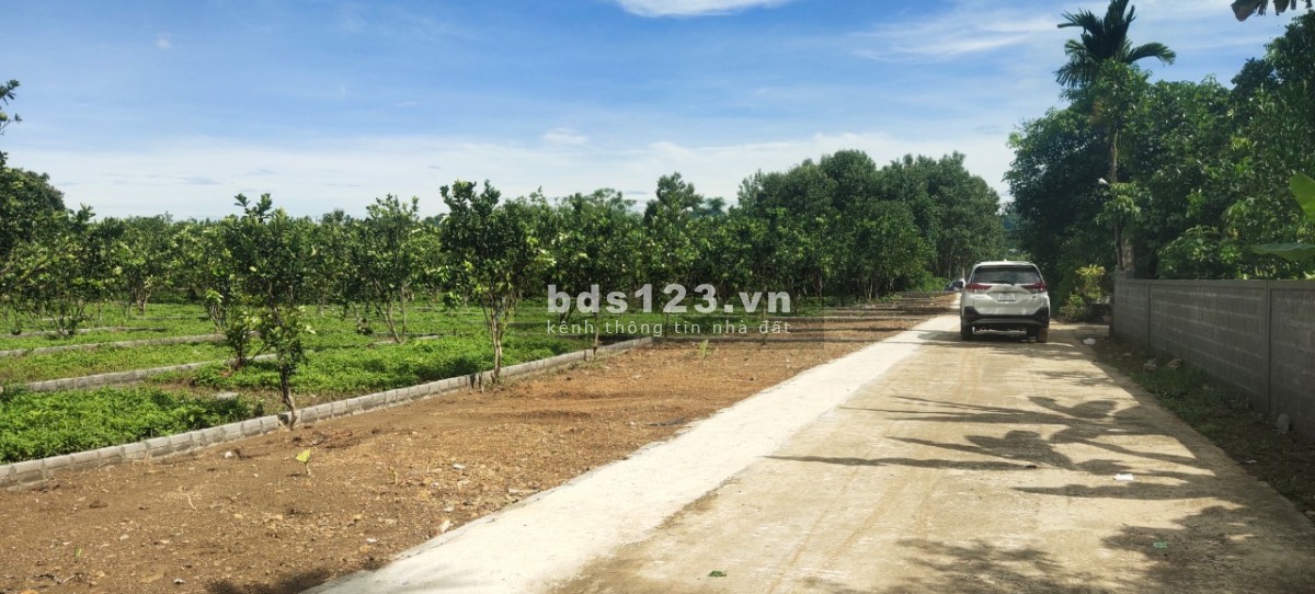 CHỈ 195 TRIỆU SỞ HỮU LÔ ĐẤT THỔ CƯ TẠI KHU CÔNG NGHIỆP BẢO HIỆU - YÊN THỦY - HÒA BÌNH