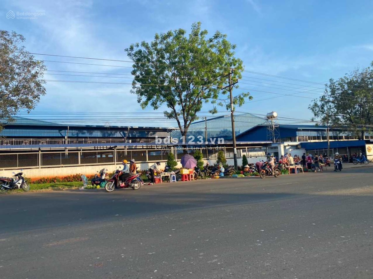 BÁN LỖ (21X65=1268M2) full SỔ RIÊNG TC, GIÁ 260TR, VT TRUNG TÂM ĐẮC ĐỊA, SÁT TRƯỜNG CHỢ, KCN