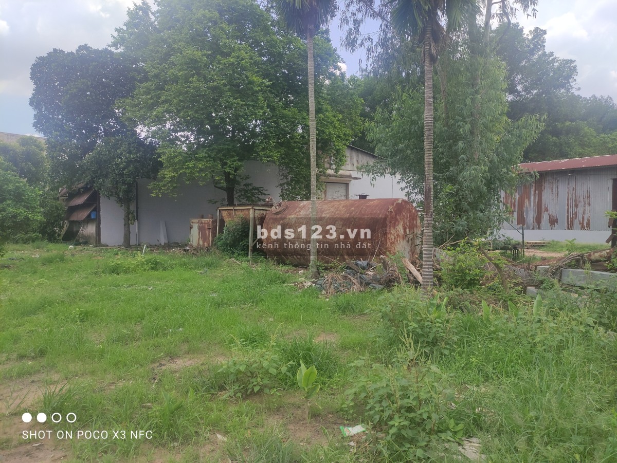 *Cho thuê đất trống *4300m2 gần QL 1K, Linh Xuân, Thủ Đức
