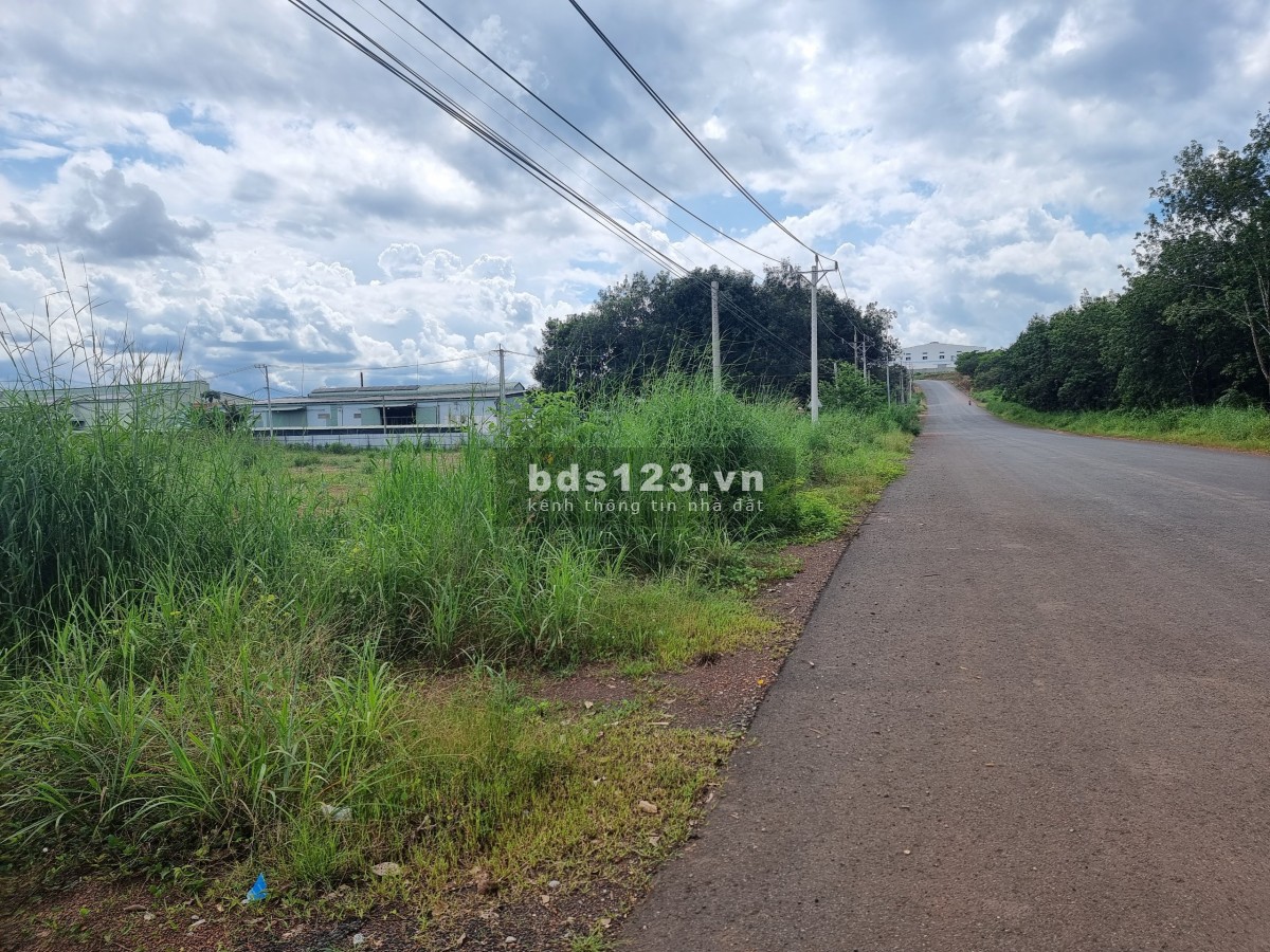 Gấp gấp chủ lô đất cần tiền thanh toán ngân hàng bán dất diện tích đất 1000m2 giá chỉ 3xxtr