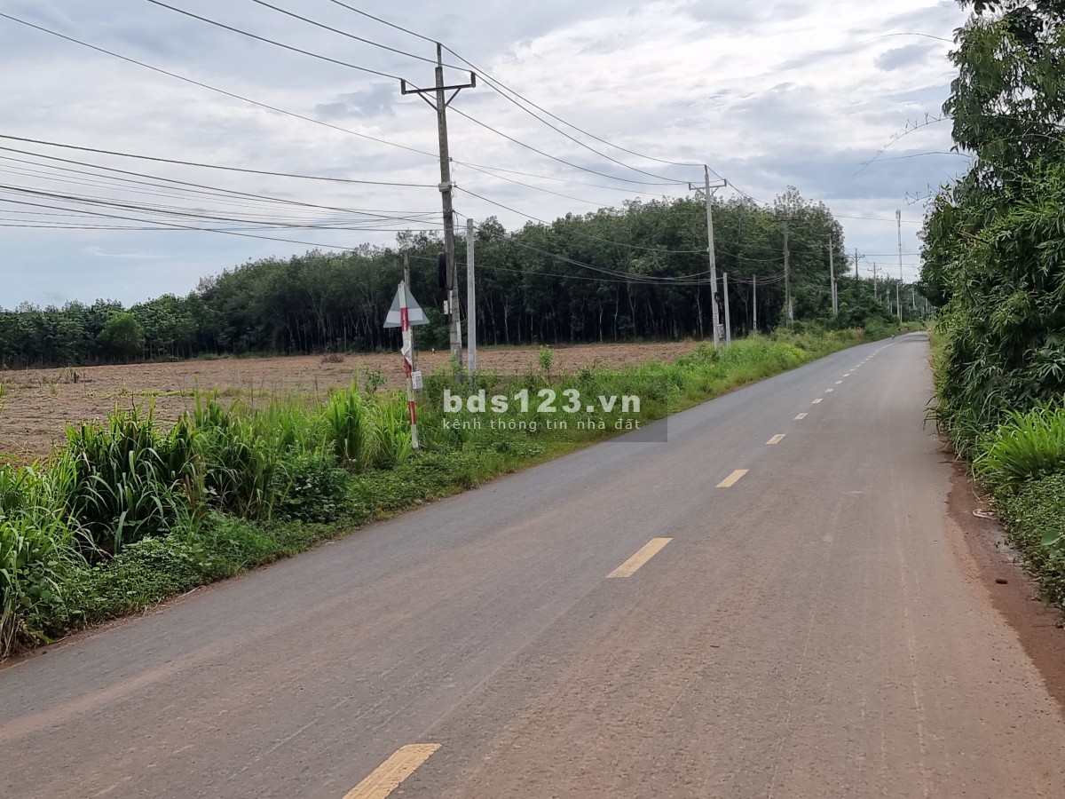 Gấp gấp chủ lô đất cần tiền thanh toán ngân hàng bán dất diện tích đất 1000m2 giá chỉ 3xxtr