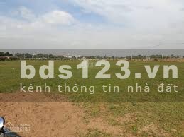Bán Đất mặt tiền 6m phường Phú Hữu, Quận 9, TP. Hồ Chí Minh