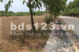 Bán Đất mặt tiền 6m phường Phú Hữu, Quận 9, TP. Hồ Chí Minh