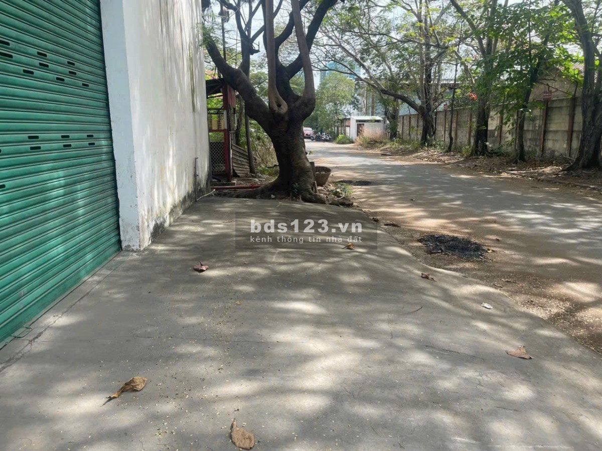 Cho thuê 770m2 kho Xa Lộ Hà Nội, Phường Trường Thọ, Thủ Đức Giá rẻ