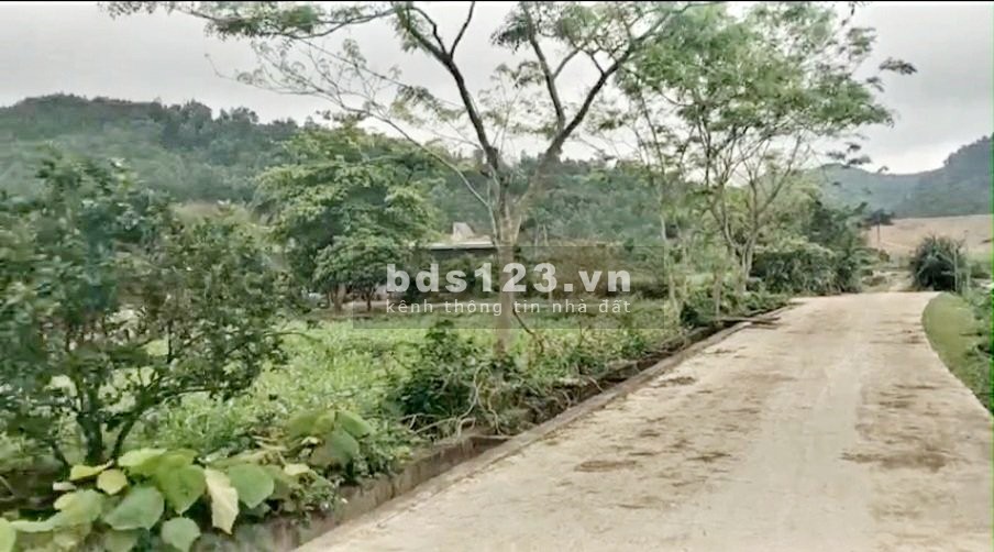 Rich Land mở bán Khu Dân Cư ĐOÀN KẾT
