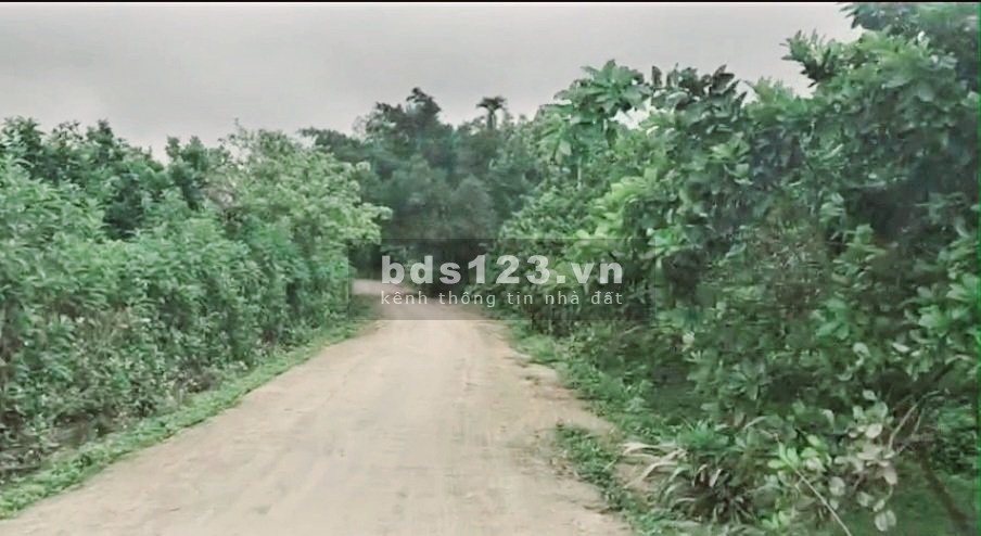 Rich Land mở bán Khu Dân Cư ĐOÀN KẾT