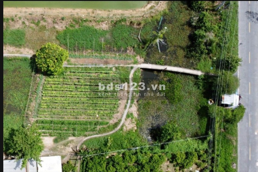 Bán đất tại Xã Nhị Mỹ, Huyện Cao Lãnh, Tỉnh Đồng Tháp