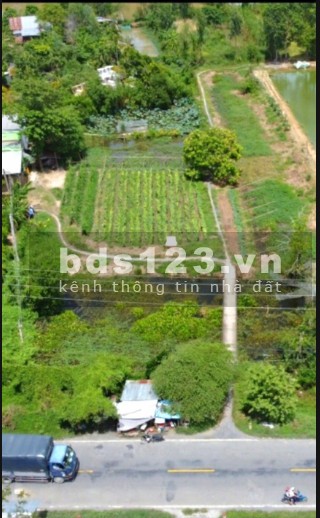 Bán đất tại Xã Nhị Mỹ, Huyện Cao Lãnh, Tỉnh Đồng Tháp
