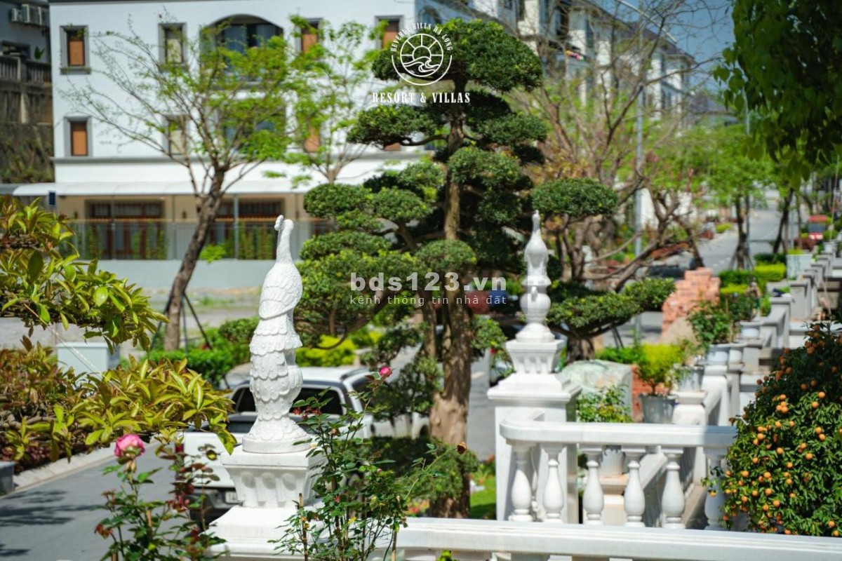 Cắt lỗ bão bán bán BT đồi mặt biển Hạ long 21,x tỷ 250m2 sẵn sổ ở ngay sẵn thang máy 0943274513