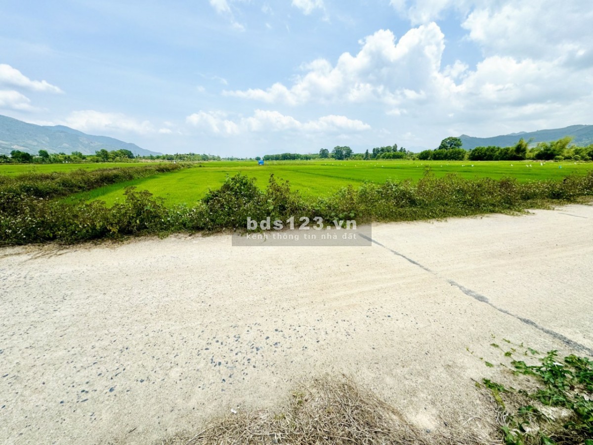 Đất Mặt tiền đường bê tông 6m xã Suối Cát, huyện Cam Lâm, Khánh Hoà