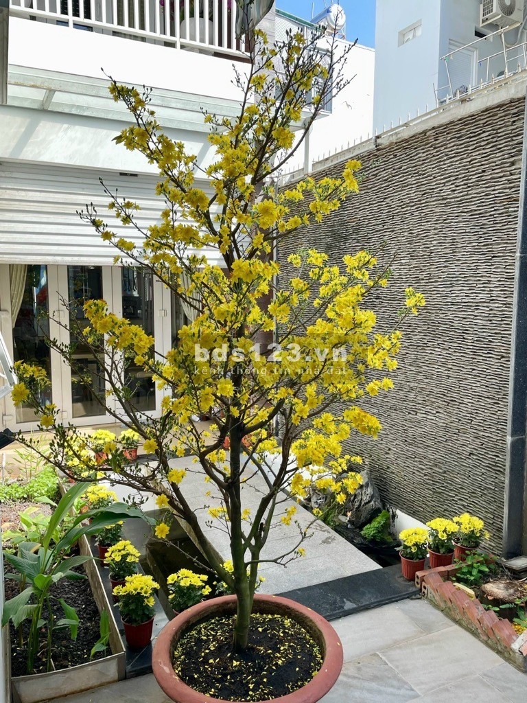 Bán Biệt Thự Đẹp - 155m2 - MT Đại Lộ 3, Phước Bình, Quận 9. Giá 18.99 tỷ