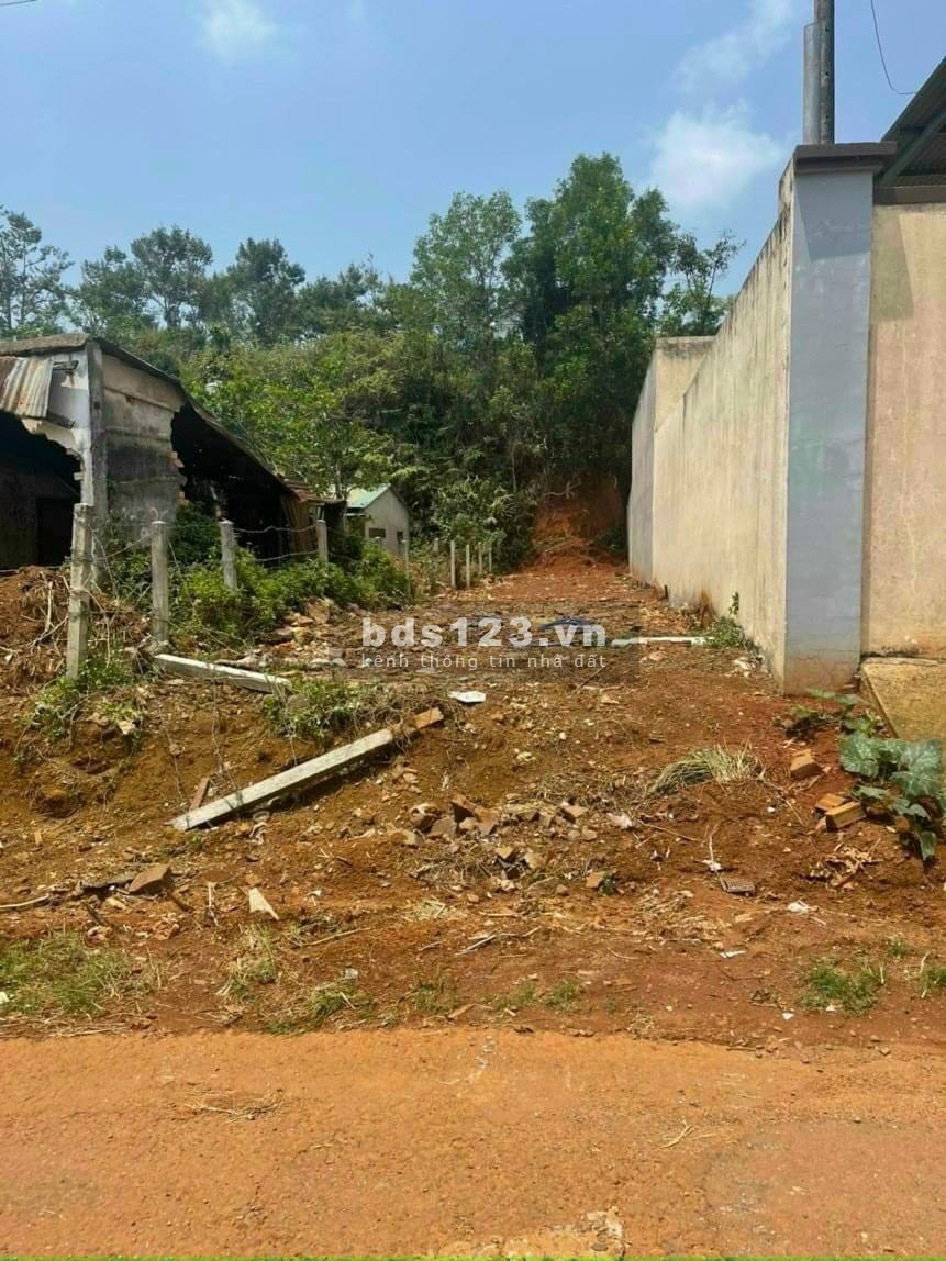 Bán lô đất đẹp mặt tiền Trần Tế Xương, Bảo Lộc
