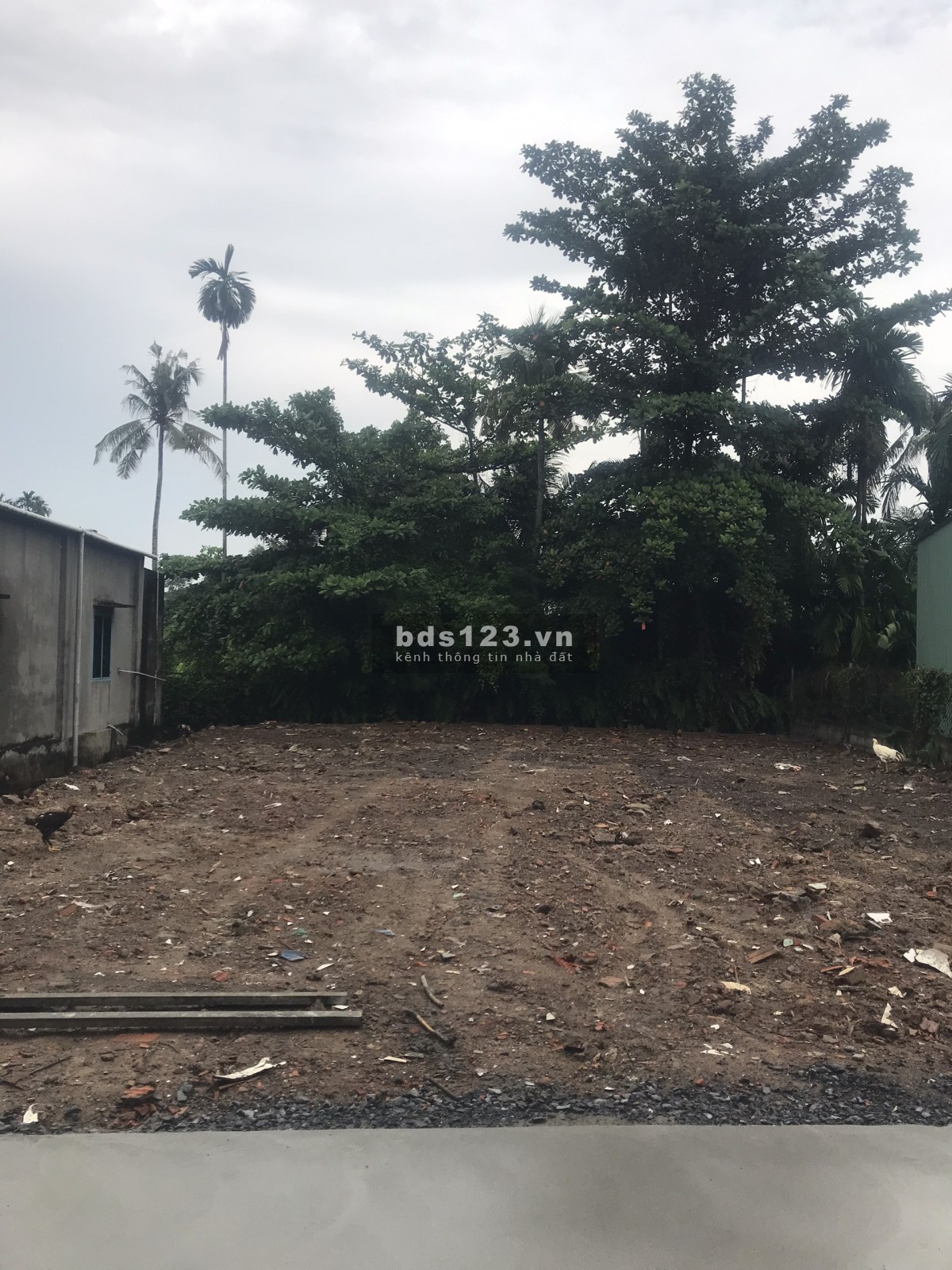 ĐẤT NGỘP 300m2 (giá nào cũng bán) đất xây biệt thự vườn xã Tân Bình, Vĩnh Cửu