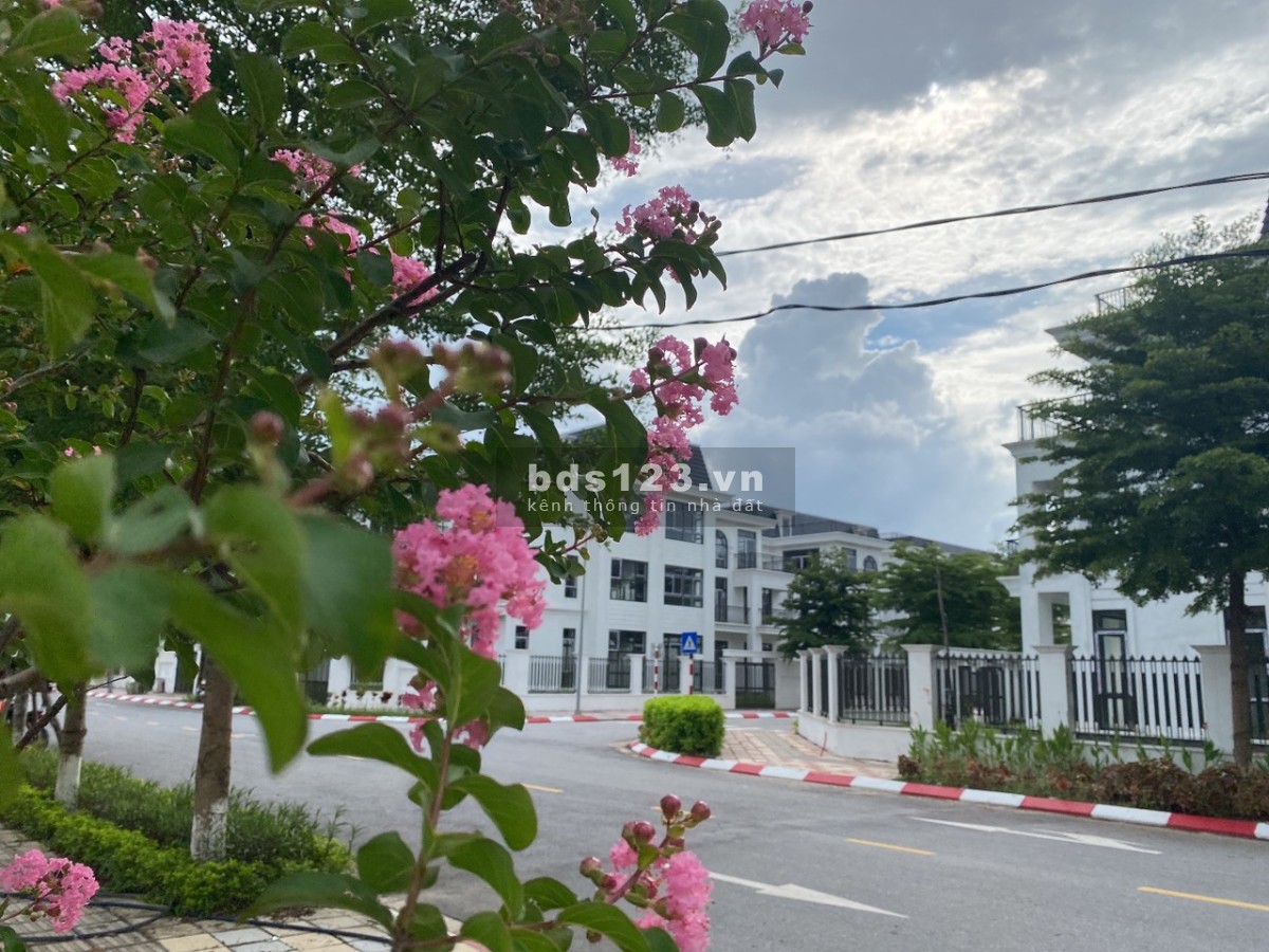 Anh chị đầu tư BĐS không chọn căn này thì chọn căn nào ạ
