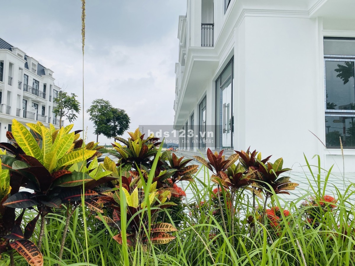 Anh chị đầu tư BĐS không chọn căn này thì chọn căn nào ạ