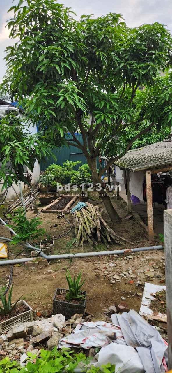 cần bán đất mặt tiền Lý Nhân, Hà Nam