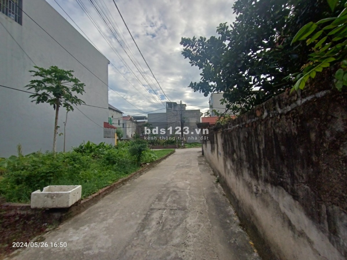 Chính chủ Bán Đất tổ 10 Quang Minh, Mê Linh, HN. Dt 98m2 giá chỉ 23tr/m2