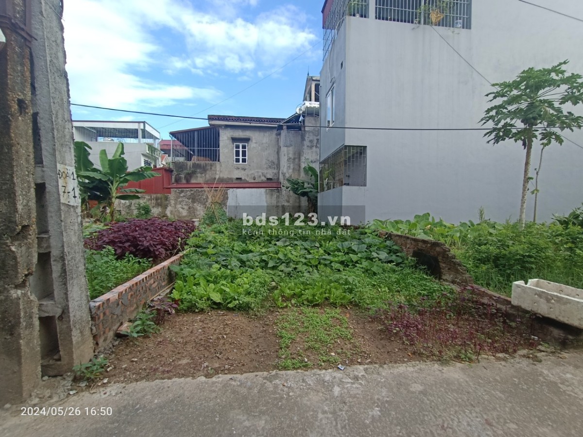Chính chủ Bán Đất tổ 10 Quang Minh, Mê Linh, HN. Dt 98m2 giá chỉ 23tr/m2