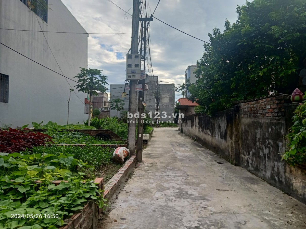 Chính chủ Bán Đất tổ 10 Quang Minh, Mê Linh, HN. Dt 98m2 giá chỉ 23tr/m2