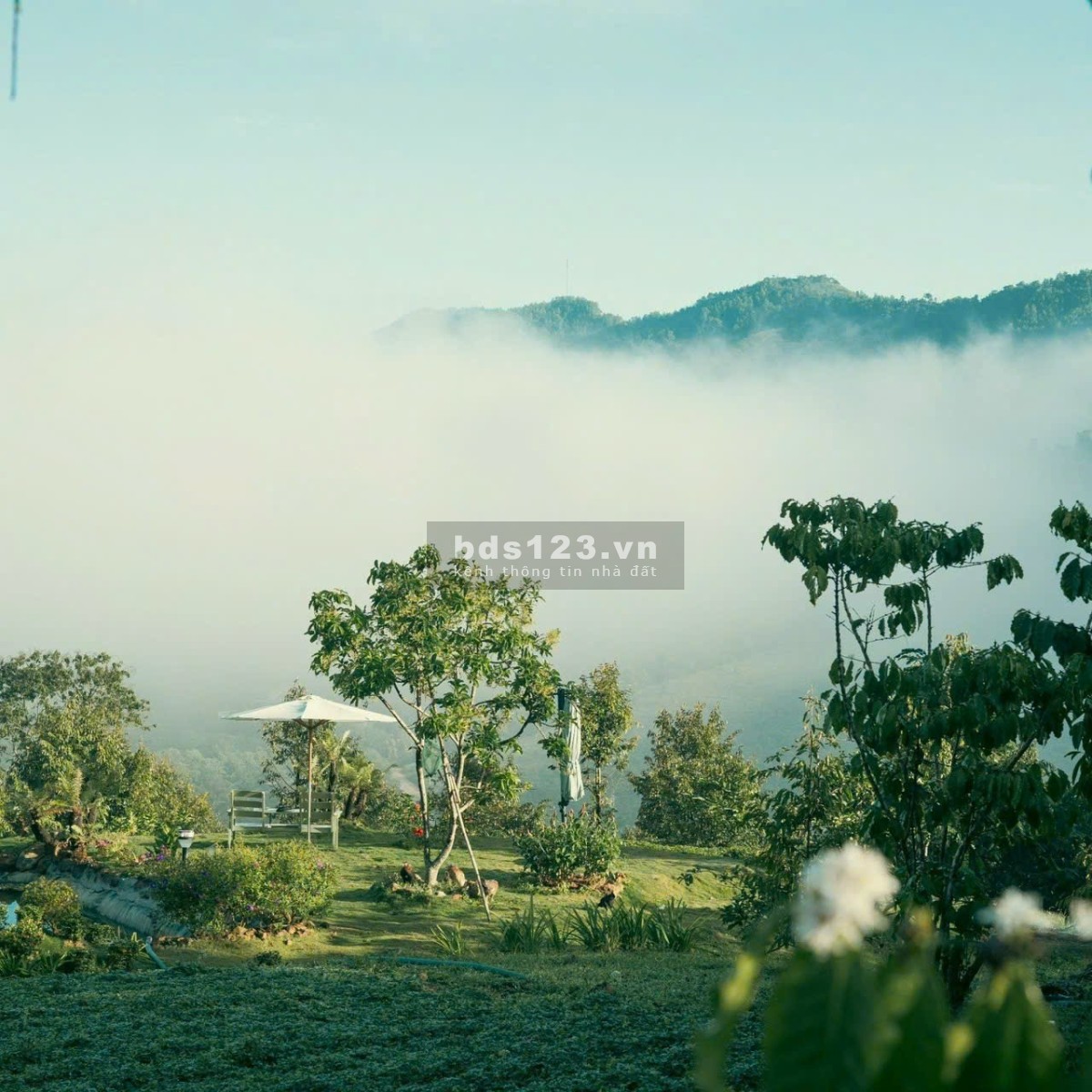 Đất nền biệt thự nghỉ dưỡng 1000m2 tại Lộc Thành có quy hoạch thổ cư, có đường nhà nước hiện hữu