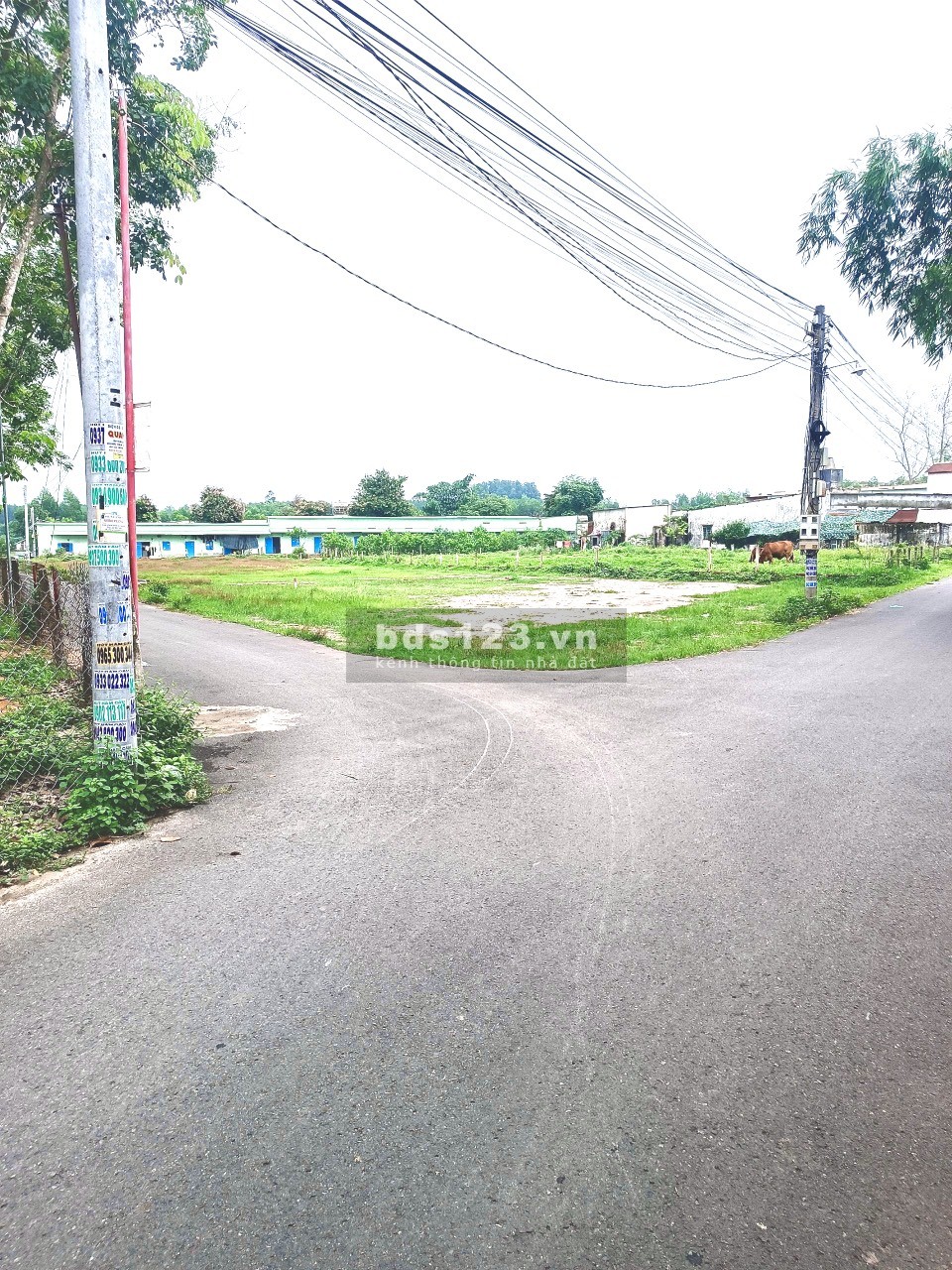 CHÍNH CHỦ CẦN BÁN GẤP ĐẤT Ở LONG THÀNH 109M2.