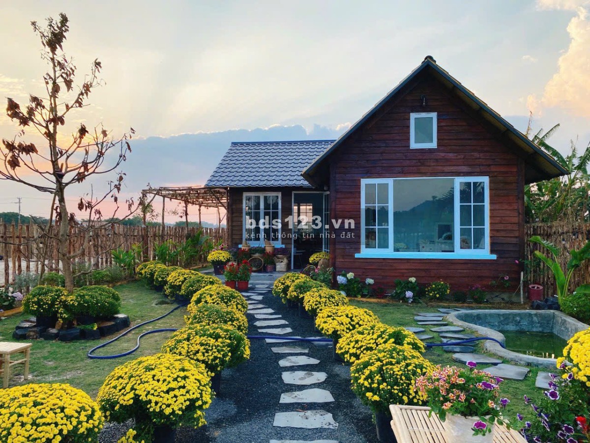Bigsea Group chính thức ra mắt hệ sinh thái - village biển hồ pháp lý hoàn chỉnh, sổ đỏ trao tay.