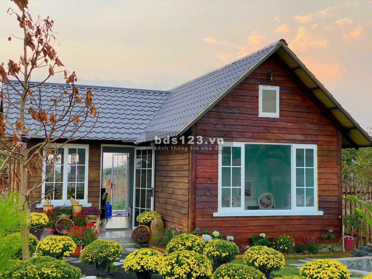 Bigsea Group chính thức ra mắt hệ sinh thái - village