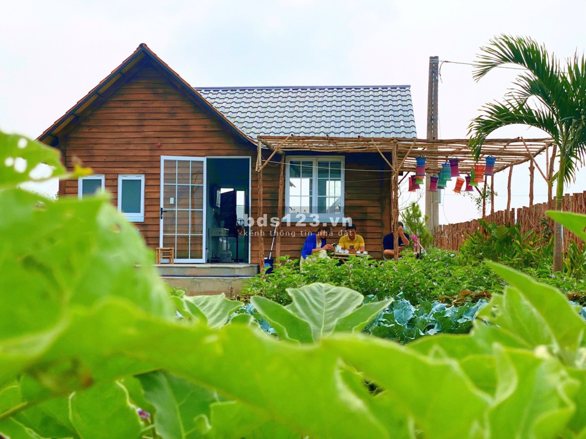 Bigsea Group chính thức ra mắt hệ sinh thái - village