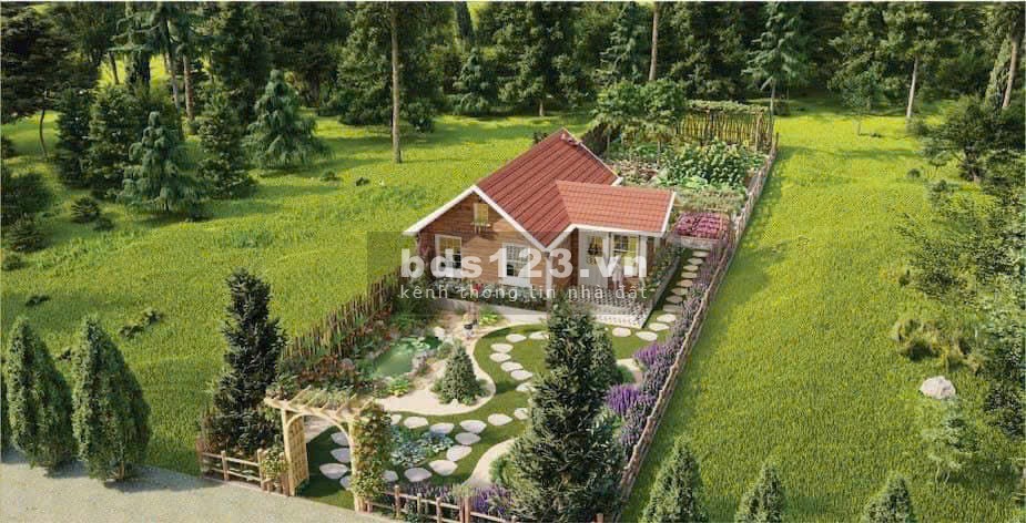 Bán lô đất cực đẹp vị trí đắc địa tại Gia Lai chỉ nhỉnh hơn 2 tỷ có ngay 400m2