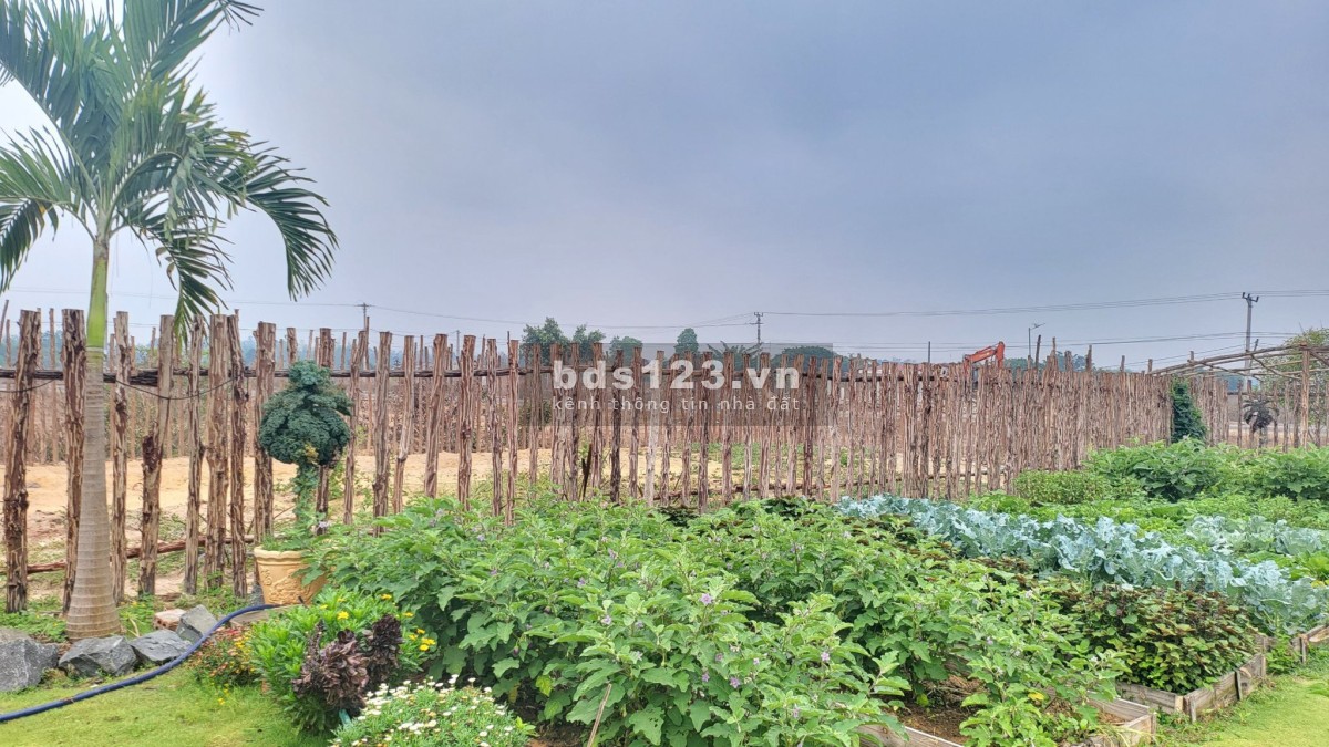 Village biển hồ pháp lý hoàn chỉnh, sổ đỏ trao tay.